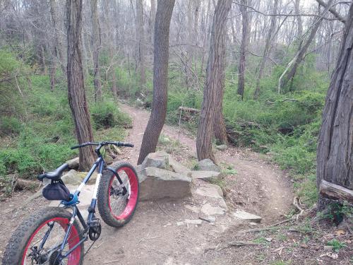 728a308e-c276-4f8b-8a14-4c3350ad846b