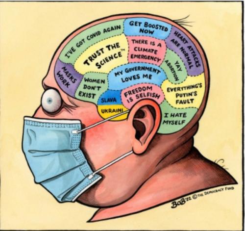 brain wash