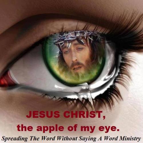 12565369_986995408049257_2442818059324090156_n