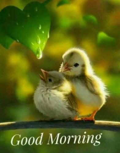 74eea51d-61e6-401d-8a98-d7a36942c05c