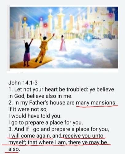 8b4113b8-587e-4e29-8be7-4ea2da2b151a