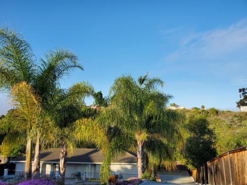 01e76c5a-bfcb-436f-9e92-a0c956d84b70