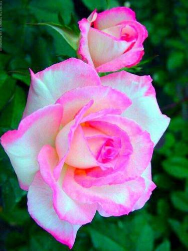 09:31:28 GMT-0500 (CDT)