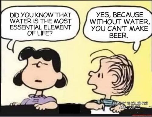 278162468_1415903962178906_2059085608563059114_n