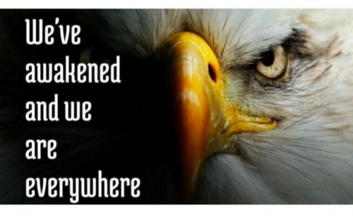 c03d6a57-faa3-4d56-bff4-32fdae1a4ab6