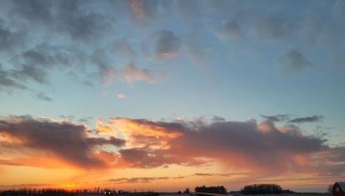 199e2992-1acf-4084-ad66-a95877640559