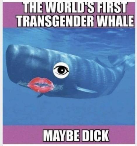 photo_2022-04-13_15-37-53