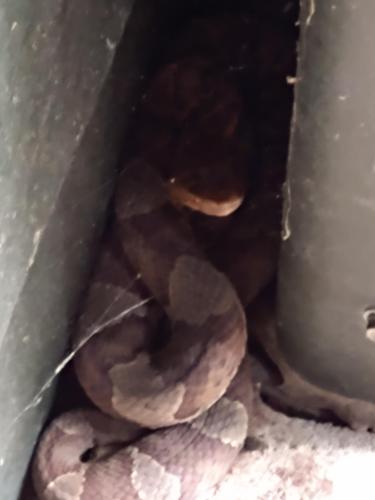 ccb822e2-d9ad-4b11-af2b-da3176f53450