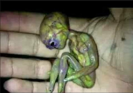 Screen Shot 2021-07-27 at 12.48.01 PM