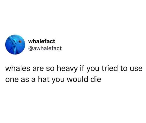 4f7b3f35-2a7e-4b0d-b05b-ae0caf88f78e