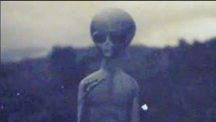 Screen Shot 2021-07-27 at 12.53.17 PM