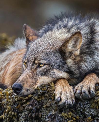 tumblr_16db2afaa19449aa38e815ac0541531d_2ea0fedc_540