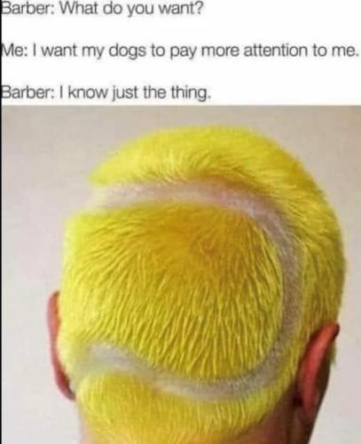 cdee51ad-760f-4af9-93a9-094ee585d489