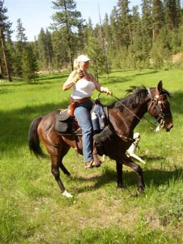 2ee22347-be31-488a-b30e-11a852568f7f