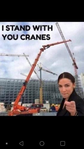 d6605dfb-f210-4dba-bf41-d17d18a15b73