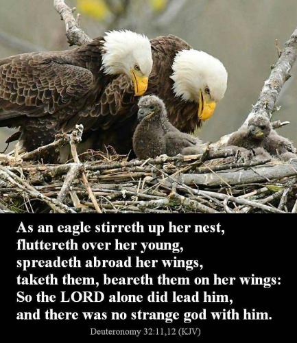 077f6d49-a769-4b1f-bacd-229af694a7a8