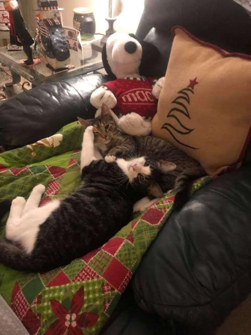 6282658b-b4e1-4c40-b650-d573c6731ef4