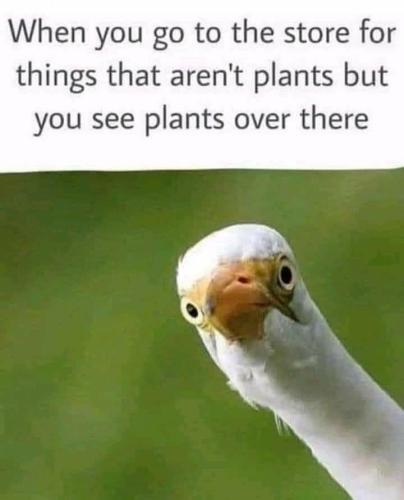 6c2c7c4b-4811-4966-aeab-40f3427dc380