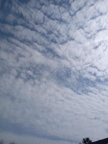 7362d279-388d-44b0-a998-2cec57a83022