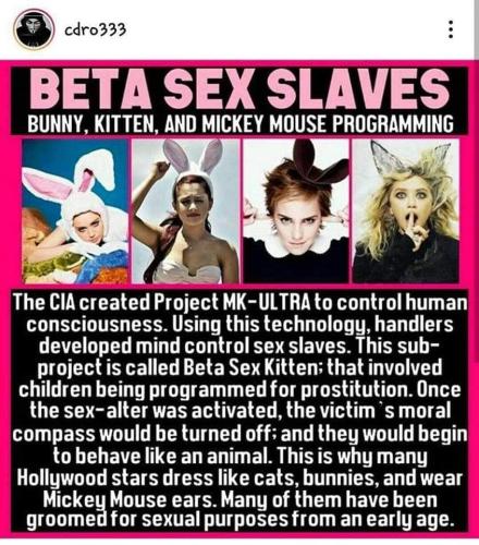 Beta Sex Kittens 1
