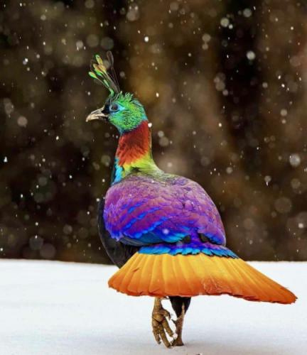 tumblr_3f42ad7eee57056da2e5a04ea869f11d_a4df4d0c_540