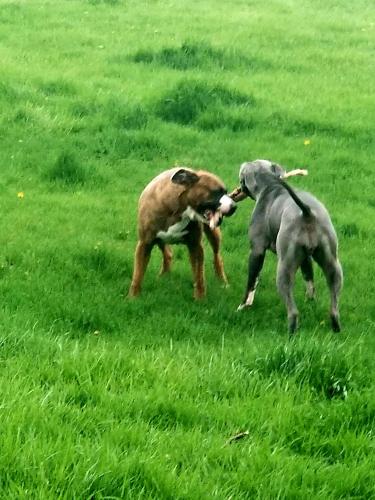 e349cdf5-7457-4508-bcaf-f51cd7658cb1