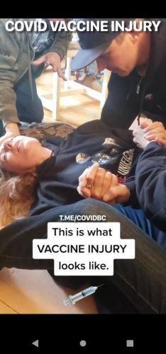 dab3aeab-06c3-4aea-bcd2-14557e6cdf77