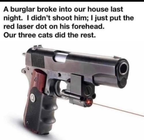 05646b01-6dbb-4d51-bd39-88b06ab50814