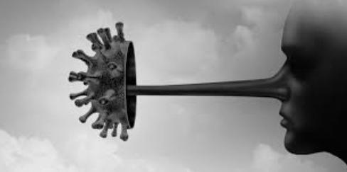 145a33f8-98e7-46b9-bced-274eef79c2d1