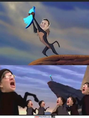 go-elon