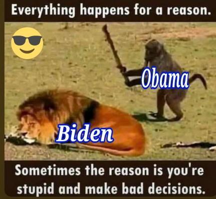 55da6186-9324-4f3d-ad96-2ad0cdd023e5