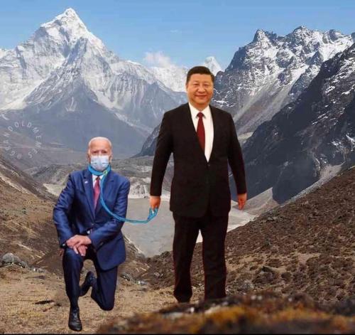 55875de6-cc09-4fc6-8de5-1959d5c6160d