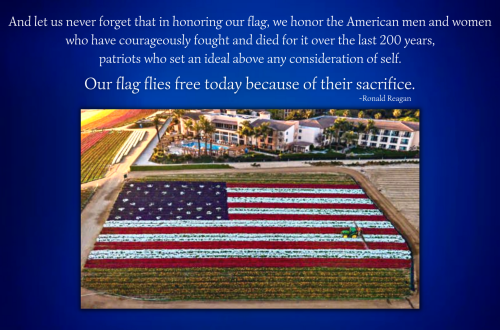_USFlag_InHonoringOurFlag
