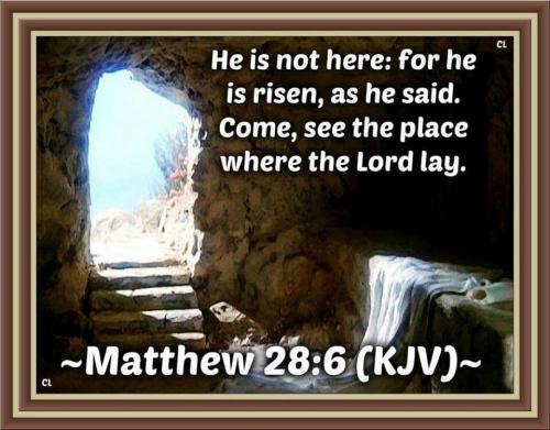 01cf6902-cee7-4c74-9dc6-760216555f72