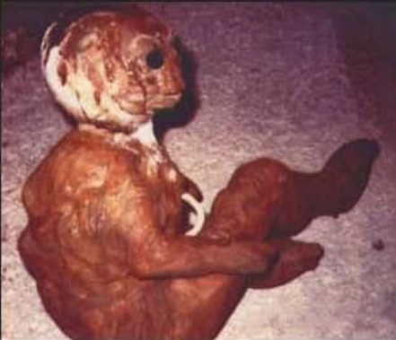 Screen Shot 2021-07-27 at 12.55.02 PM