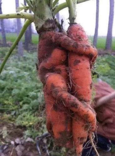 88c6408c-eb1b-4471-a492-4ff39b23439c