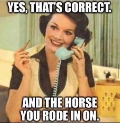 81c1cfb4-d39e-4511-8386-21856257de0f