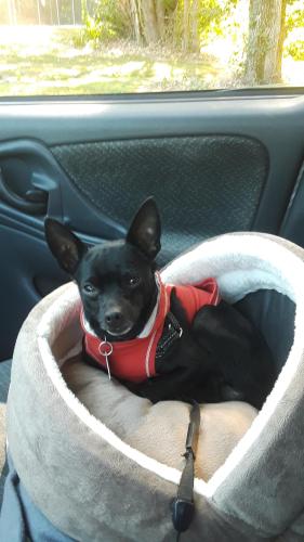 12:21:40 GMT-0400 (EDT)