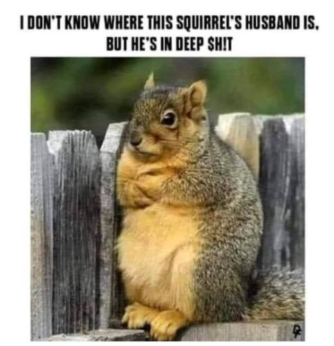 277789373_5566627873367478_5427192923453084187_n