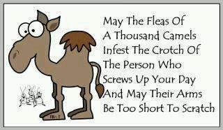 537860_367735173262429_2084220825_n