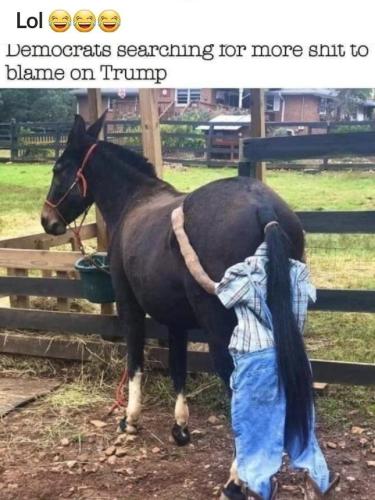 a9d9c0f1-7c59-43d3-b371-a98276855e7c