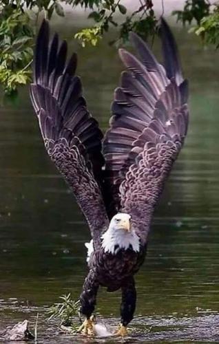 20:48:20 GMT-0500 (CDT)