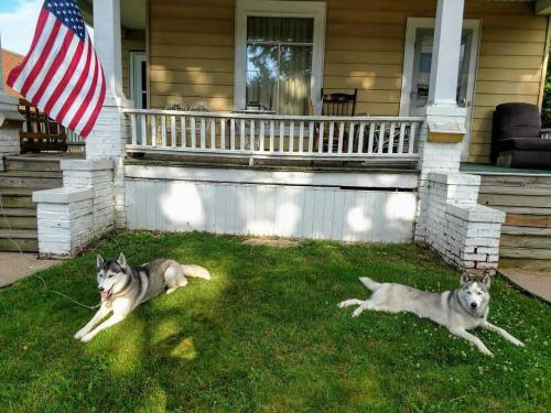 e27e5048-a794-4d93-8c82-0c76c83a63a8