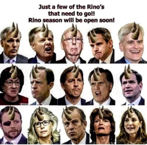 Rinos 1