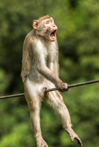 278991901_294424649538900_901914872376970118_n