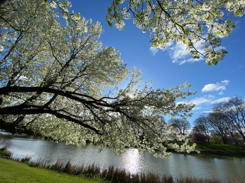 E5E9F108-2EEE-4E16-A934-130DB5A458D3