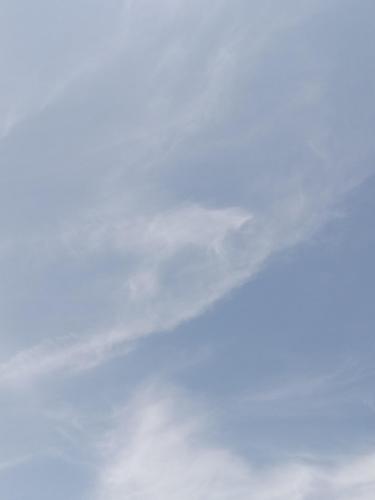 48af8c70-76a6-41ad-ab7c-e868f3316f3c