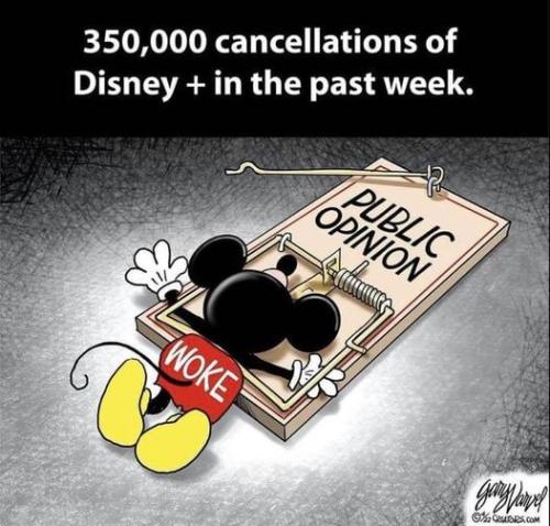 278508492_490965212810822_8786551350726467206_n