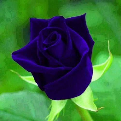 21:48:32 GMT-0500 (CDT)