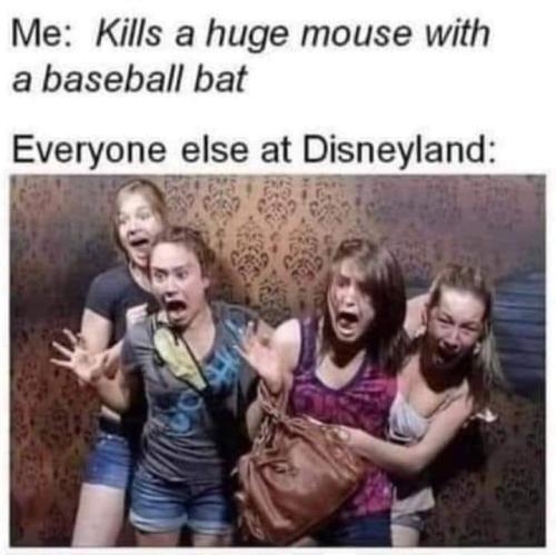 disney mouse kill